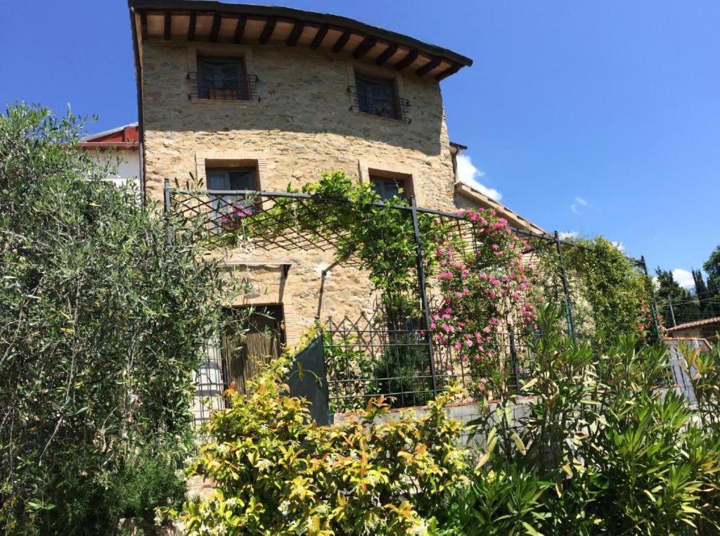 Hostal La Casina Delle Rondini Corsanico-Bargecchia Exterior foto