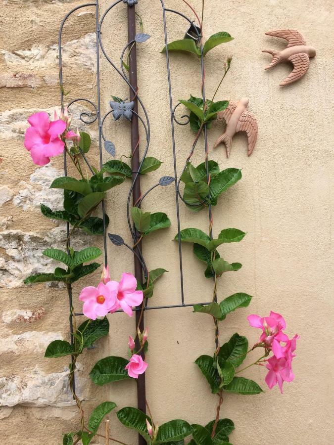 Hostal La Casina Delle Rondini Corsanico-Bargecchia Exterior foto