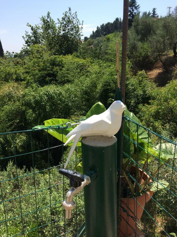Hostal La Casina Delle Rondini Corsanico-Bargecchia Exterior foto