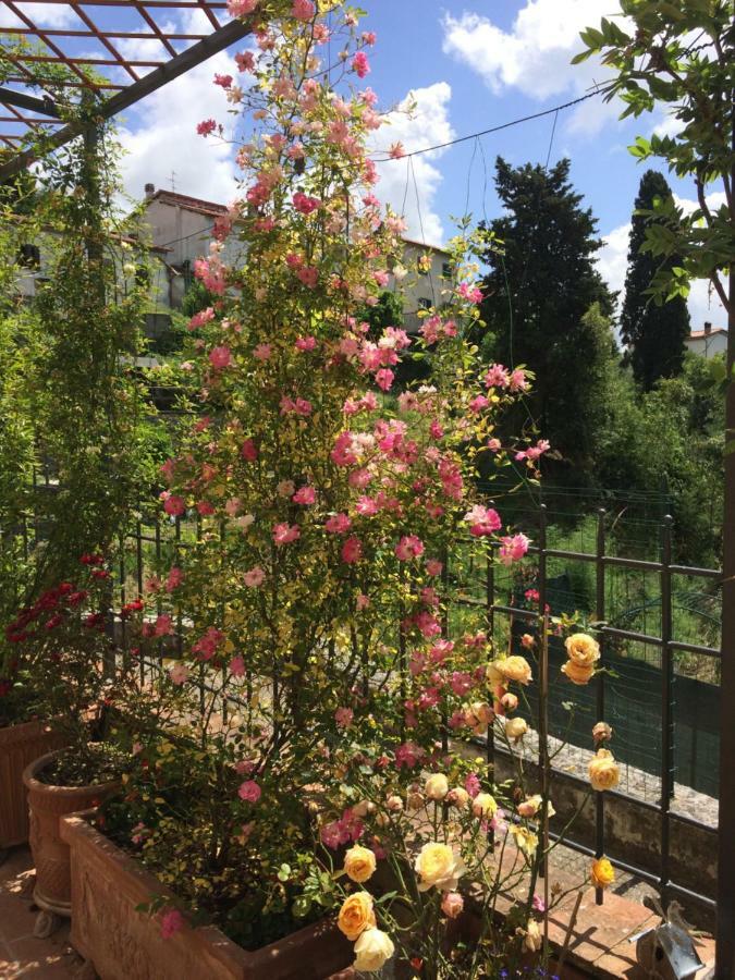Hostal La Casina Delle Rondini Corsanico-Bargecchia Exterior foto