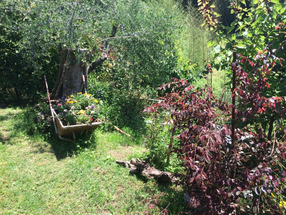 Hostal La Casina Delle Rondini Corsanico-Bargecchia Exterior foto